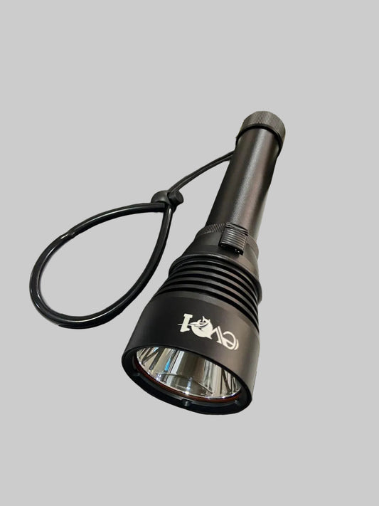 EVO1 scuba Torch